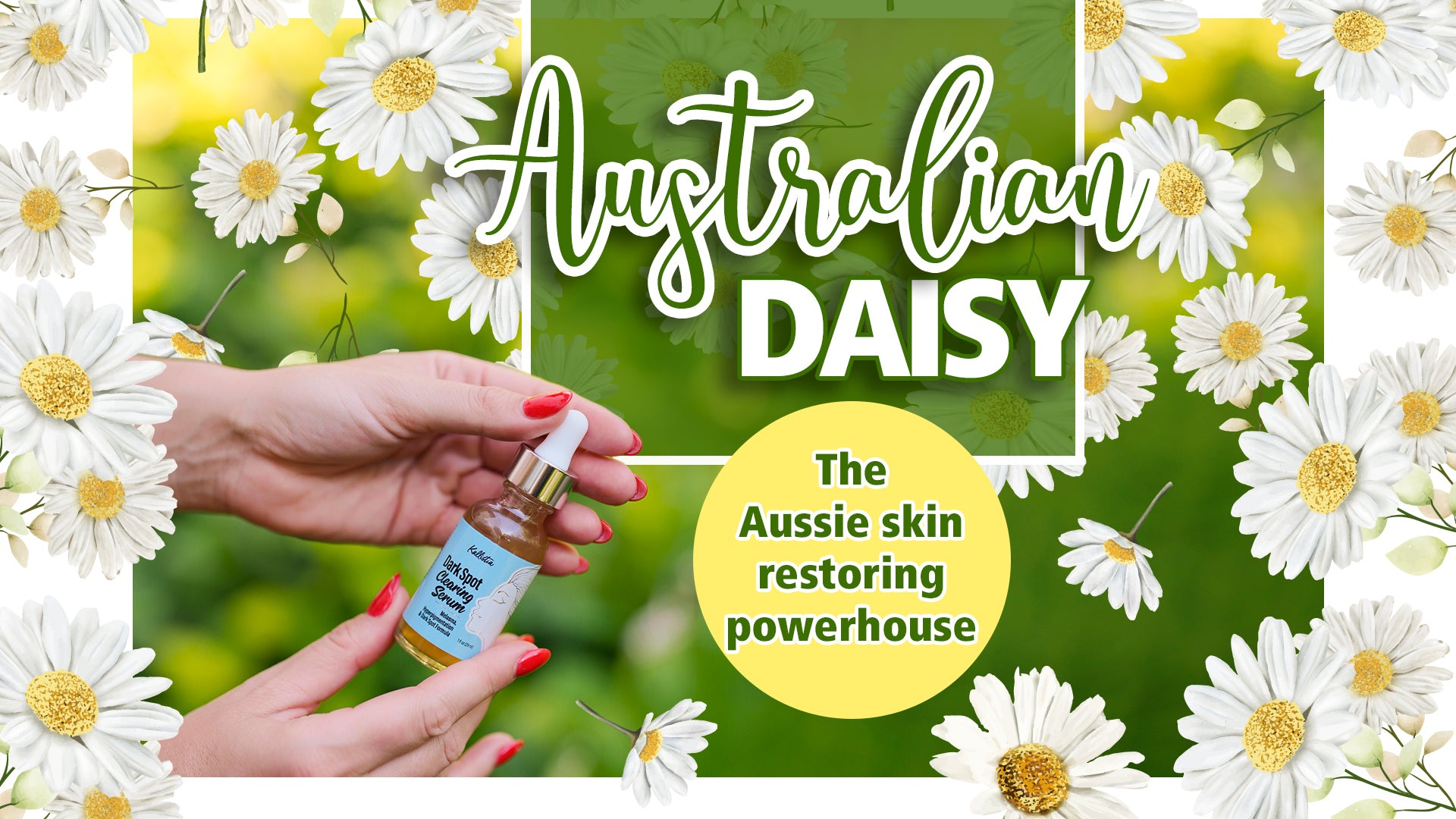 Australian Daisy, The Aussie skin restoring powerhouse